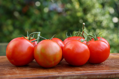 Close-up of tomatoes on table