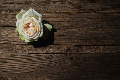 High angle view of rose bouquet on table