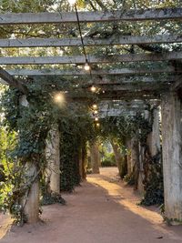 Empty footpath amidst buildings