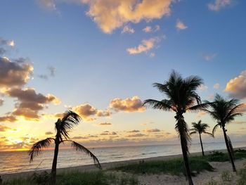 Scenic view of beach against sky during sunset