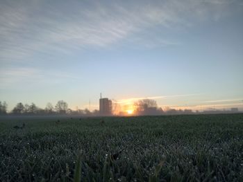 Scenic view of field against sky during sunset