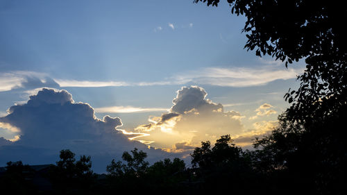 Low angle view of silhouette trees against sky at sunset