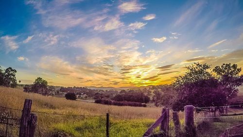 Scenic view of grassy field against sky at sunset