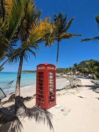 Palm trees on beach against sky