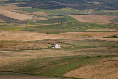 Morocco field