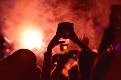 Group of people at music concert