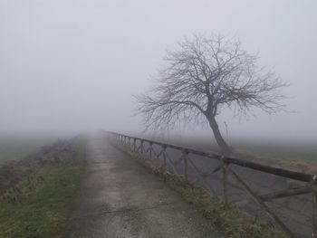 Footpath amidst bare trees against sky during foggy weather