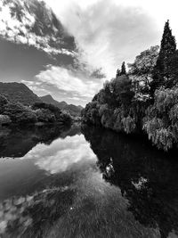 Scenic view of lake by trees against sky