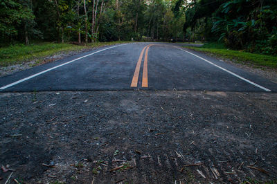 Empty road along trees in forest
