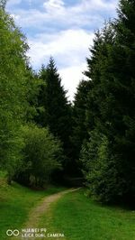 Trees on landscape against sky