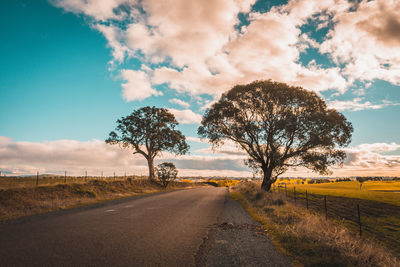 Road amidst trees on field against sky