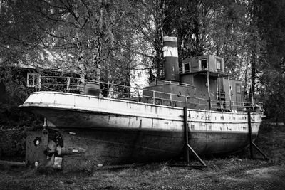 Abandoned boat moored on tree