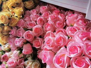 High angle view of pink roses