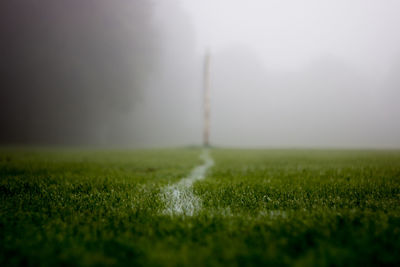 Close-up of grassy field against storm cloud