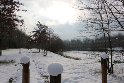 Trees on snow covered field against sky