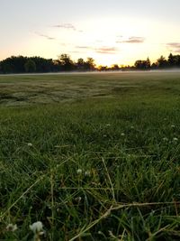 Scenic view of field against sky during sunset