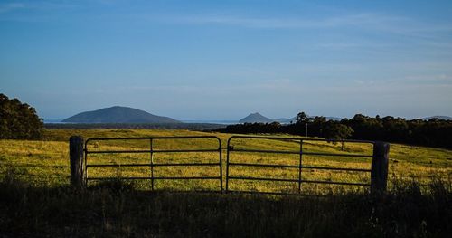 Scenic view of grassy field against sky