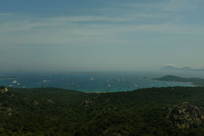 Yachts in the porto cervo's gulf