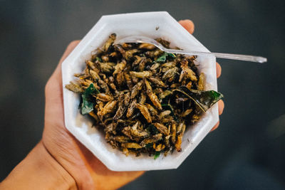 Close-up of hand holding food