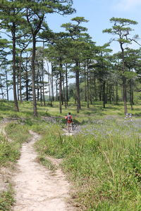 People riding bicycle on field in forest