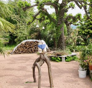 Rear view of man riding bicycle against trees