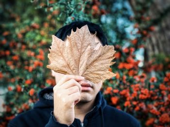 Cropped image of person holding maple leaf