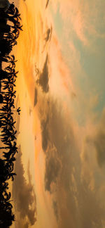 Low angle view of silhouette trees against orange sky