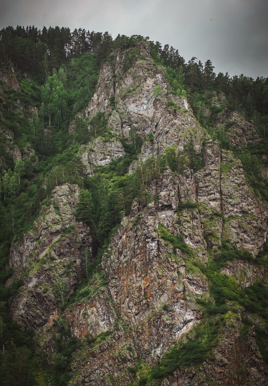 SCENIC VIEW OF ROCKY MOUNTAIN