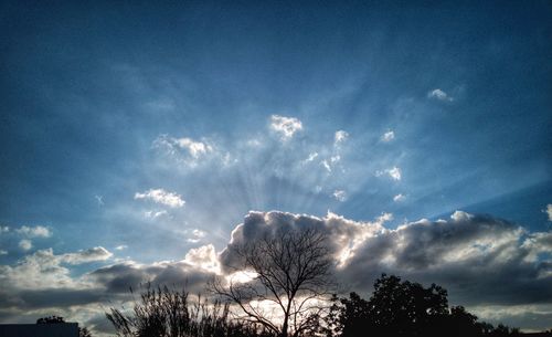 Low angle view of silhouette trees against sky