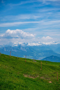 Scenic view of field against sky