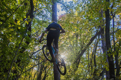 Rear view of man in mid-air doing stunt with bicycle at forest