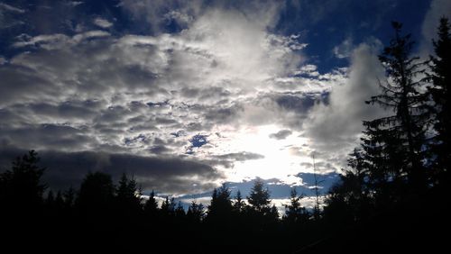 Silhouette of trees against cloudy sky