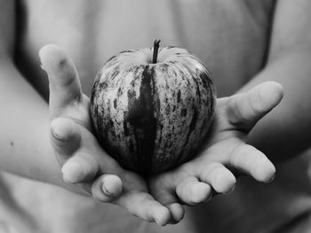 Close-up of hand holding fruit