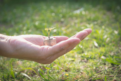 Cropped hand holding stacked coins with seedling over grassy field