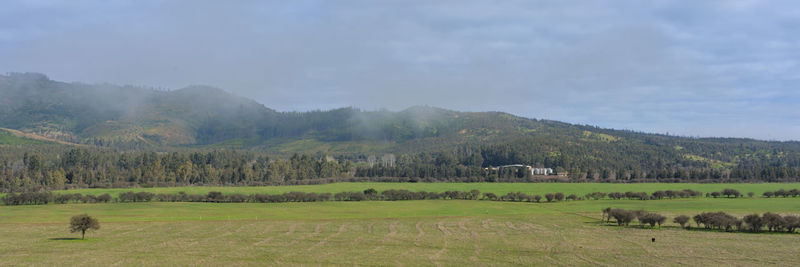 landscape
