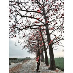 Man standing by tree against sky