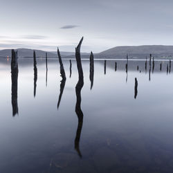 Wooden posts in lake against sky