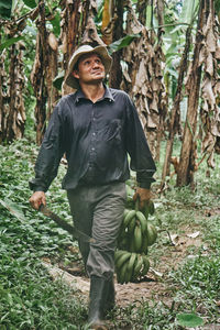 Full body hispanic man with machete and bunch of green bananas walking near trees and looking up on summer day on ecological farm in costa rica