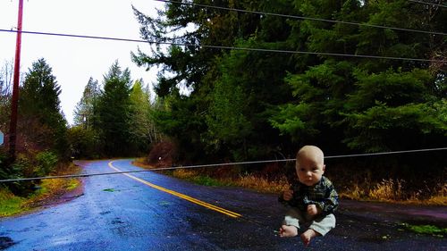 Road along trees