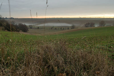 Scenic view of field against sky during sunset