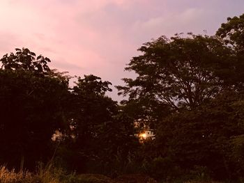 Silhouette trees in forest against sky at sunset