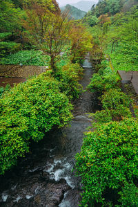 Scenic view of waterfall in forest