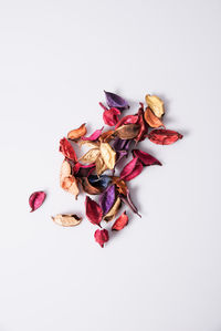 Close-up of roses against white background