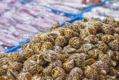 Close-up of food for sale at market stall