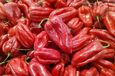 Full frame shot of red chili peppers