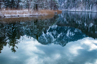 Reflection of trees in lake against sky