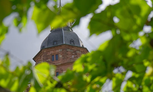Low angle view of traditional building against trees
