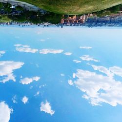 Scenic view of blue sky and trees