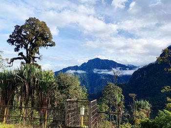 Scenic view of tree mountains against sky