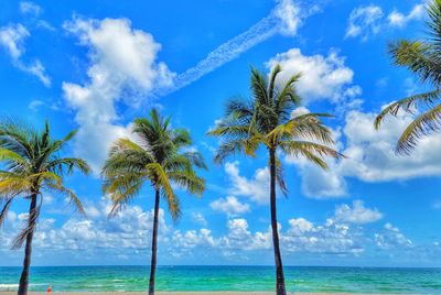 tropical climate